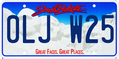 SD license plate 0LJW25