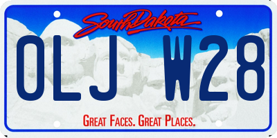 SD license plate 0LJW28