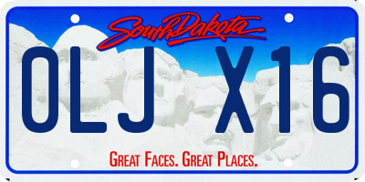 SD license plate 0LJX16
