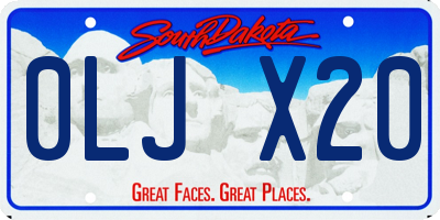 SD license plate 0LJX20