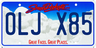 SD license plate 0LJX85