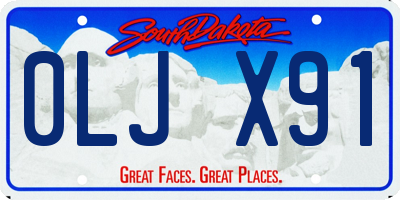 SD license plate 0LJX91