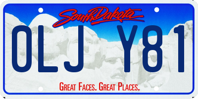SD license plate 0LJY81