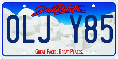 SD license plate 0LJY85
