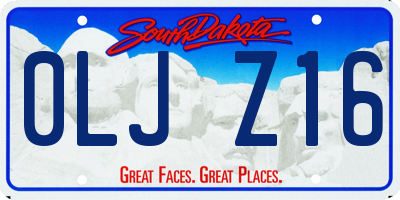 SD license plate 0LJZ16