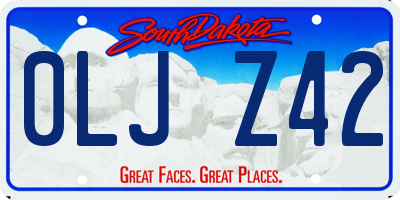 SD license plate 0LJZ42