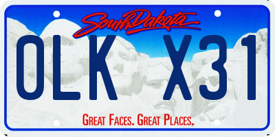 SD license plate 0LKX31