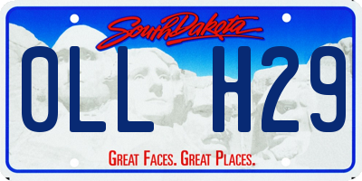 SD license plate 0LLH29