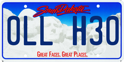 SD license plate 0LLH30