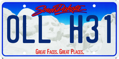 SD license plate 0LLH31
