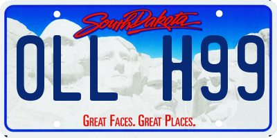 SD license plate 0LLH99