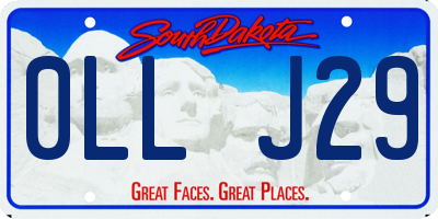 SD license plate 0LLJ29