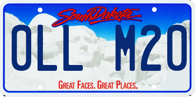 SD license plate 0LLM20