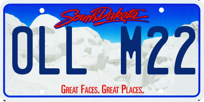 SD license plate 0LLM22