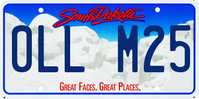 SD license plate 0LLM25