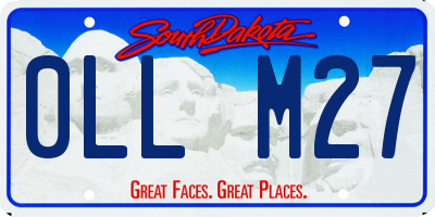 SD license plate 0LLM27
