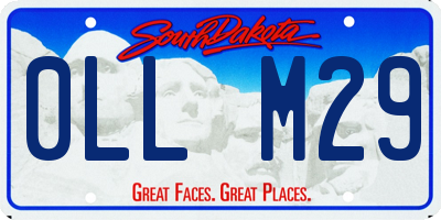 SD license plate 0LLM29