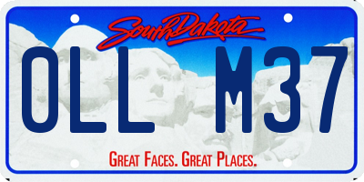 SD license plate 0LLM37