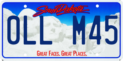SD license plate 0LLM45