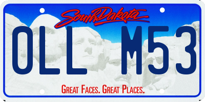 SD license plate 0LLM53