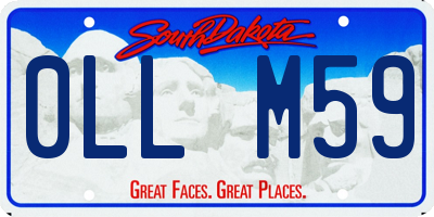 SD license plate 0LLM59