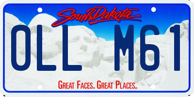 SD license plate 0LLM61