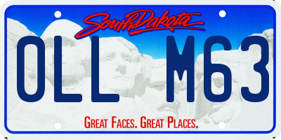SD license plate 0LLM63