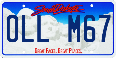 SD license plate 0LLM67