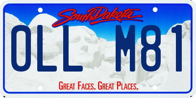 SD license plate 0LLM81