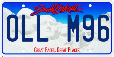 SD license plate 0LLM96