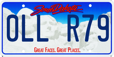 SD license plate 0LLR79