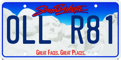 SD license plate 0LLR81