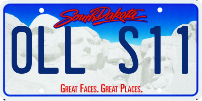SD license plate 0LLS11