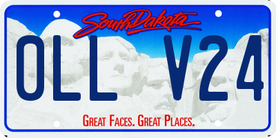 SD license plate 0LLV24