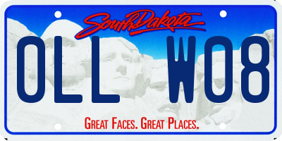 SD license plate 0LLW08
