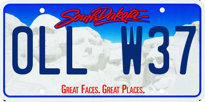 SD license plate 0LLW37