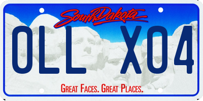 SD license plate 0LLX04