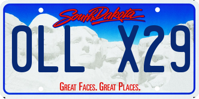 SD license plate 0LLX29