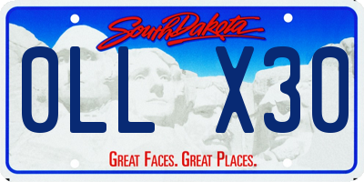 SD license plate 0LLX30