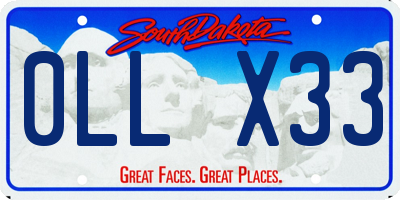 SD license plate 0LLX33