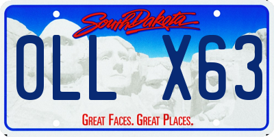 SD license plate 0LLX63