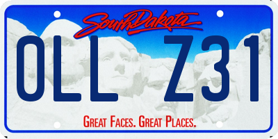 SD license plate 0LLZ31