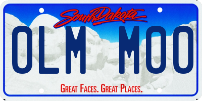SD license plate 0LMM00