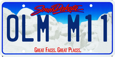 SD license plate 0LMM11