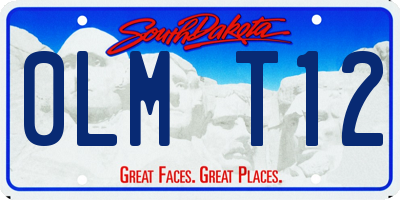 SD license plate 0LMT12