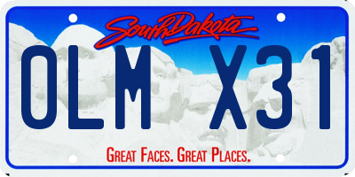 SD license plate 0LMX31
