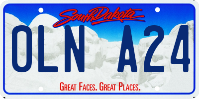 SD license plate 0LNA24
