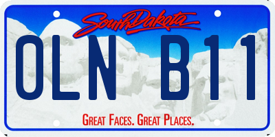 SD license plate 0LNB11
