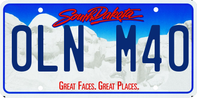 SD license plate 0LNM40