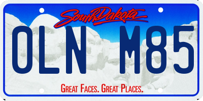 SD license plate 0LNM85